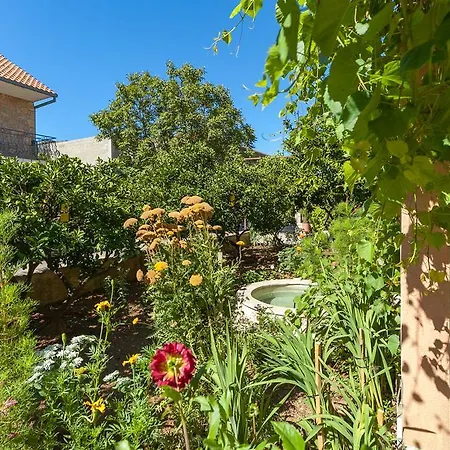 Apartments&rooms Dobrila *