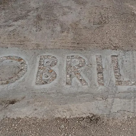 And Dobrila