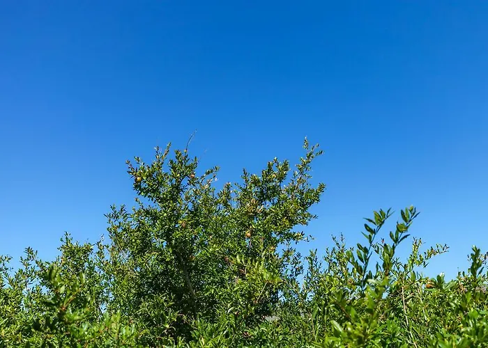 아파트 And Dobrila