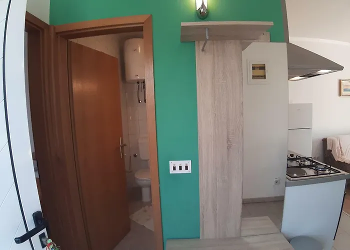 And Dobrila * 젤사